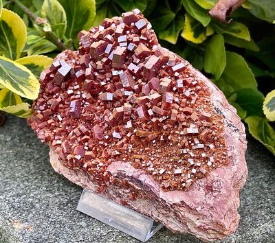 Wunderschöne Vanadinit Kristallstufe 435 gramm