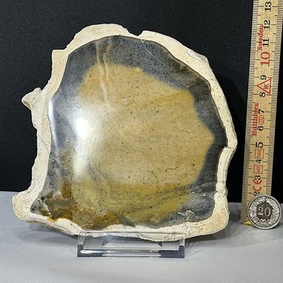 Picasso Jaspis Scheibe  12.4 x 12.4 x dicke 11mm