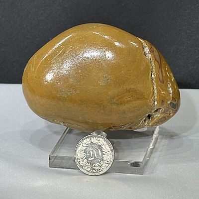 Gelber Jaspis 8.3 x 5.7 x 3.2 cm