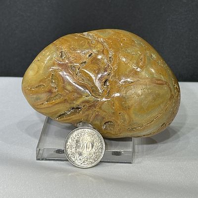 Gelber Jaspis 8.3 x 5.7 x 3.2 cm