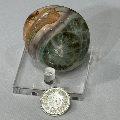 Picasso Jaspis Handschmeichler 48 x 45 x 22 mm