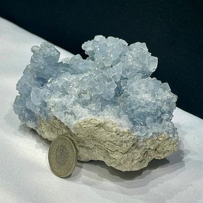 Coelestin / Cölestin Coelestin / Cölestin