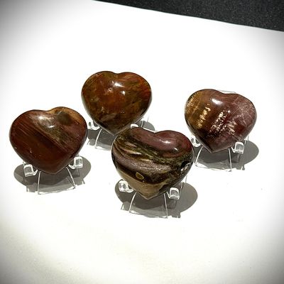 Versteinertes Holz Herz