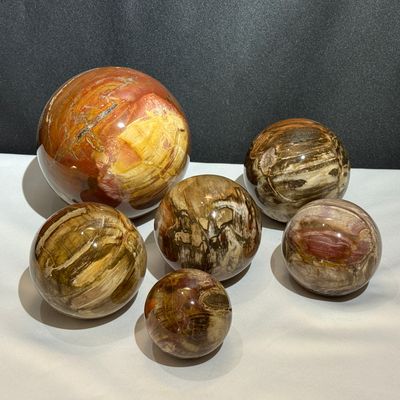 Versteinertes Holz Kugel