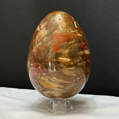 Versteinertes Holz Ei