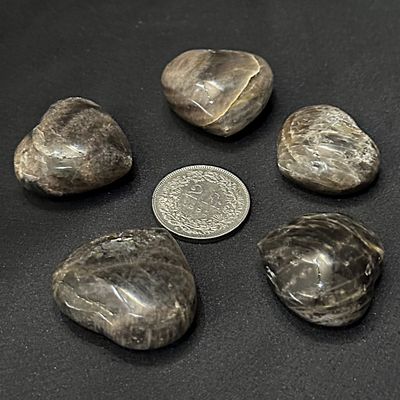 Mondstein Herz braun Schwarz 31 - 36 mm