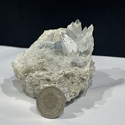 Coelestin / Cölestin Coelestin / Cölestin