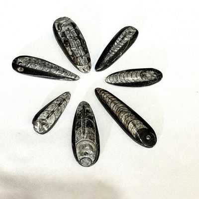 Orthoceras Fossil Anhänger