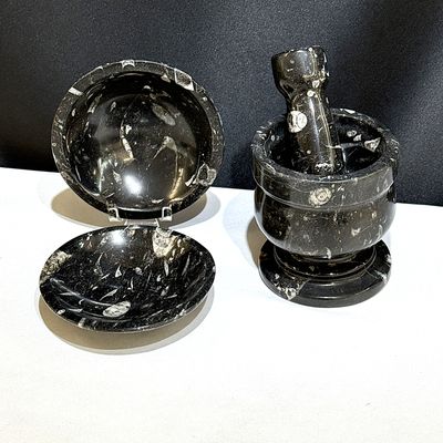 Orthoceras Schalen und Mörser