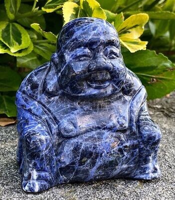 Fantastischer Sodalith Happy Budda