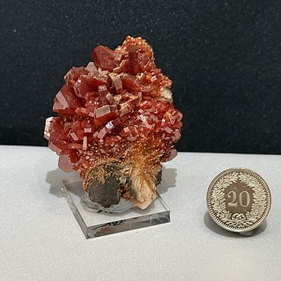 Fantastischer Blutroter Vanadinit auf Sockel