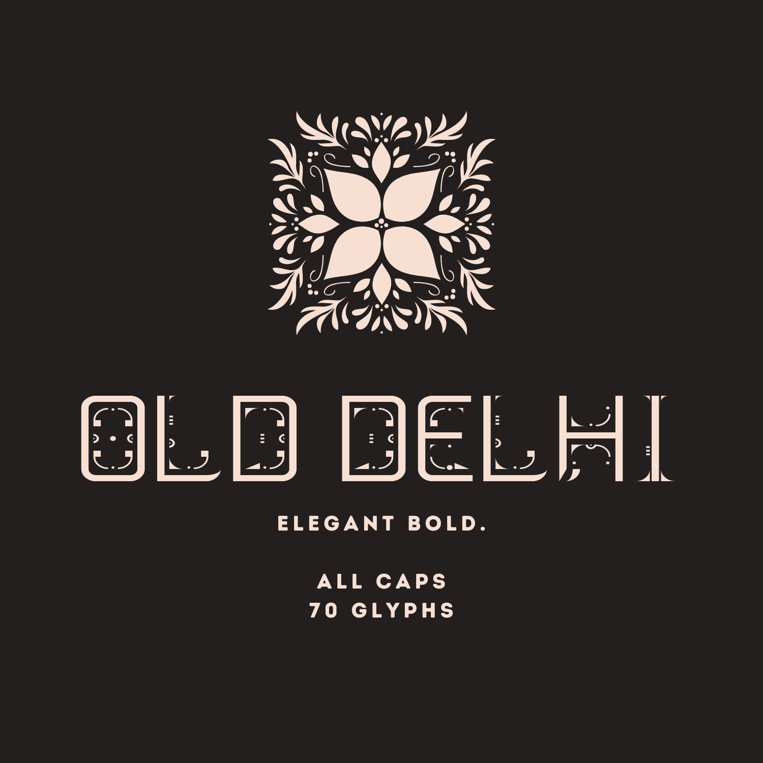 Old Delhi Elegant Bold