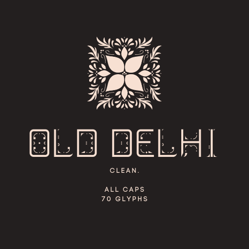 Old Delhi Clean