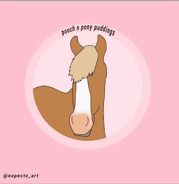 Pooch n pony puddings