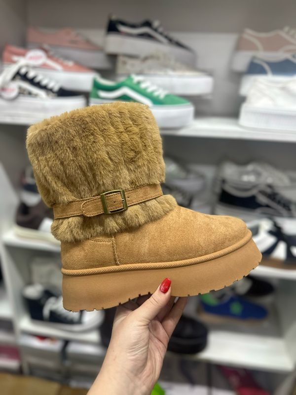 Pantubota GB691 CAMEL