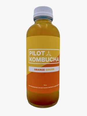 Pilot Orange Ginger Kombucha