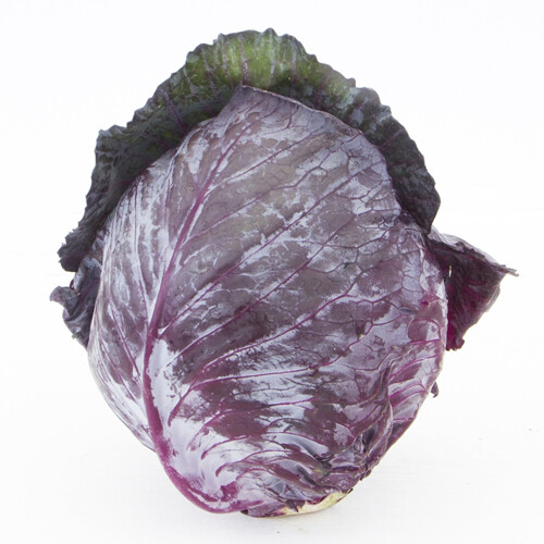 Red Cabbage (a head)