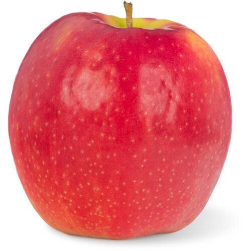 Pink Lady Apples (quart)