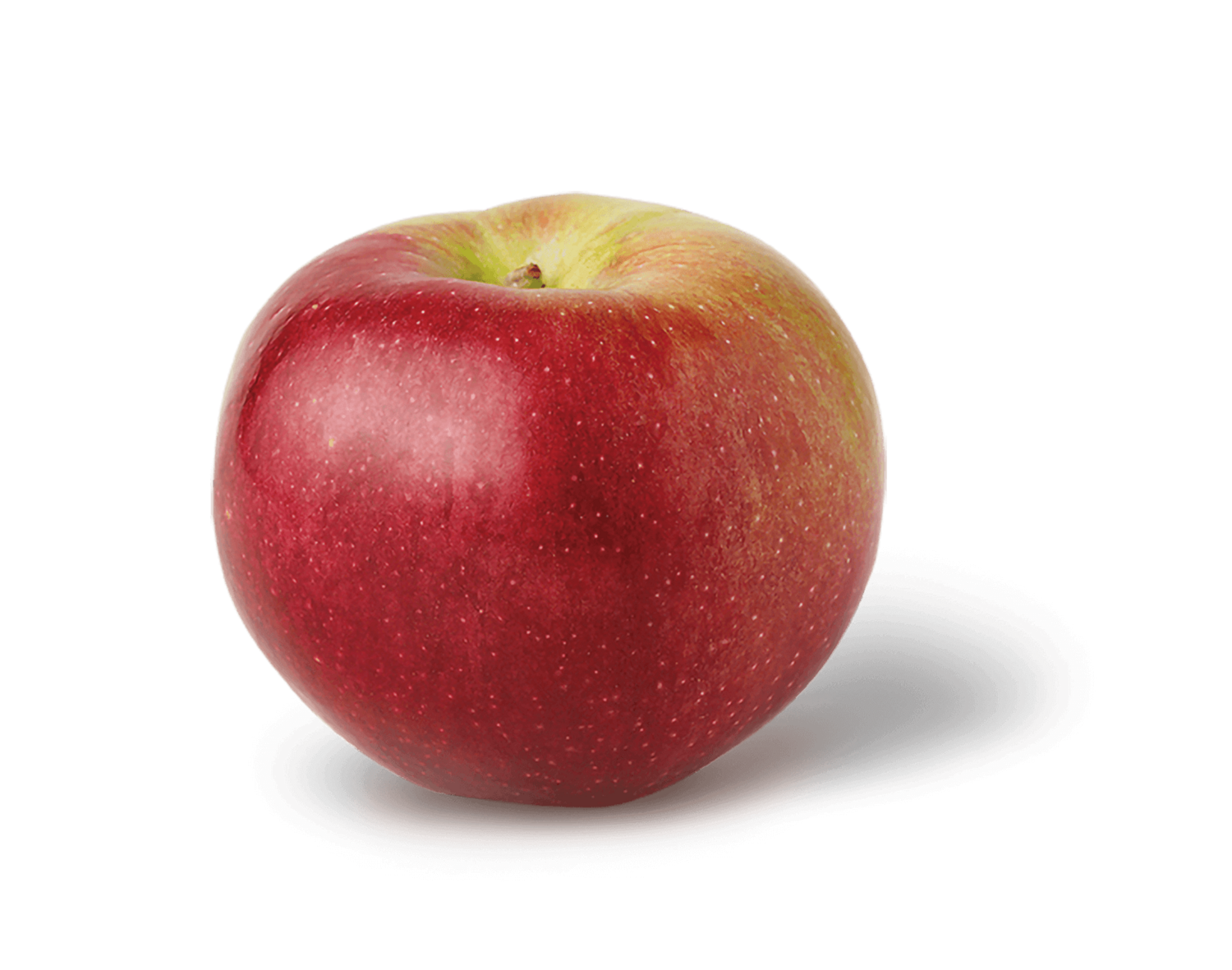 Macoun Apples (quart)