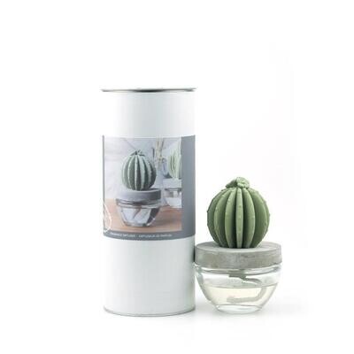 Ocean Breeze, Clay Cactus Diffuser