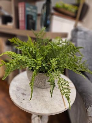 Fern Bowl