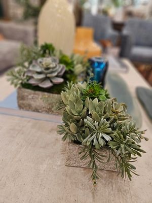 Succulents &amp; Foliage 5&quot; Square Stone