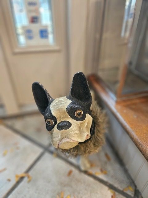 63836 Statue - French Bulldog Paper-Mache 13.75H