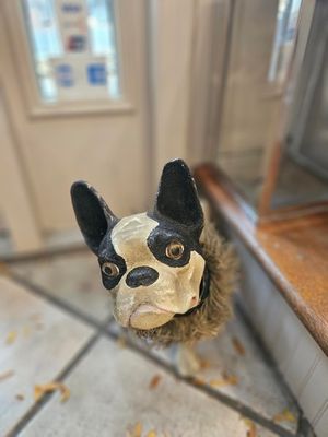 63836 Statue - French Bulldog Paper-Mache 13.75H