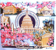 T-shirt Holidays Printed: "Cherry Blossom in Washington DC"