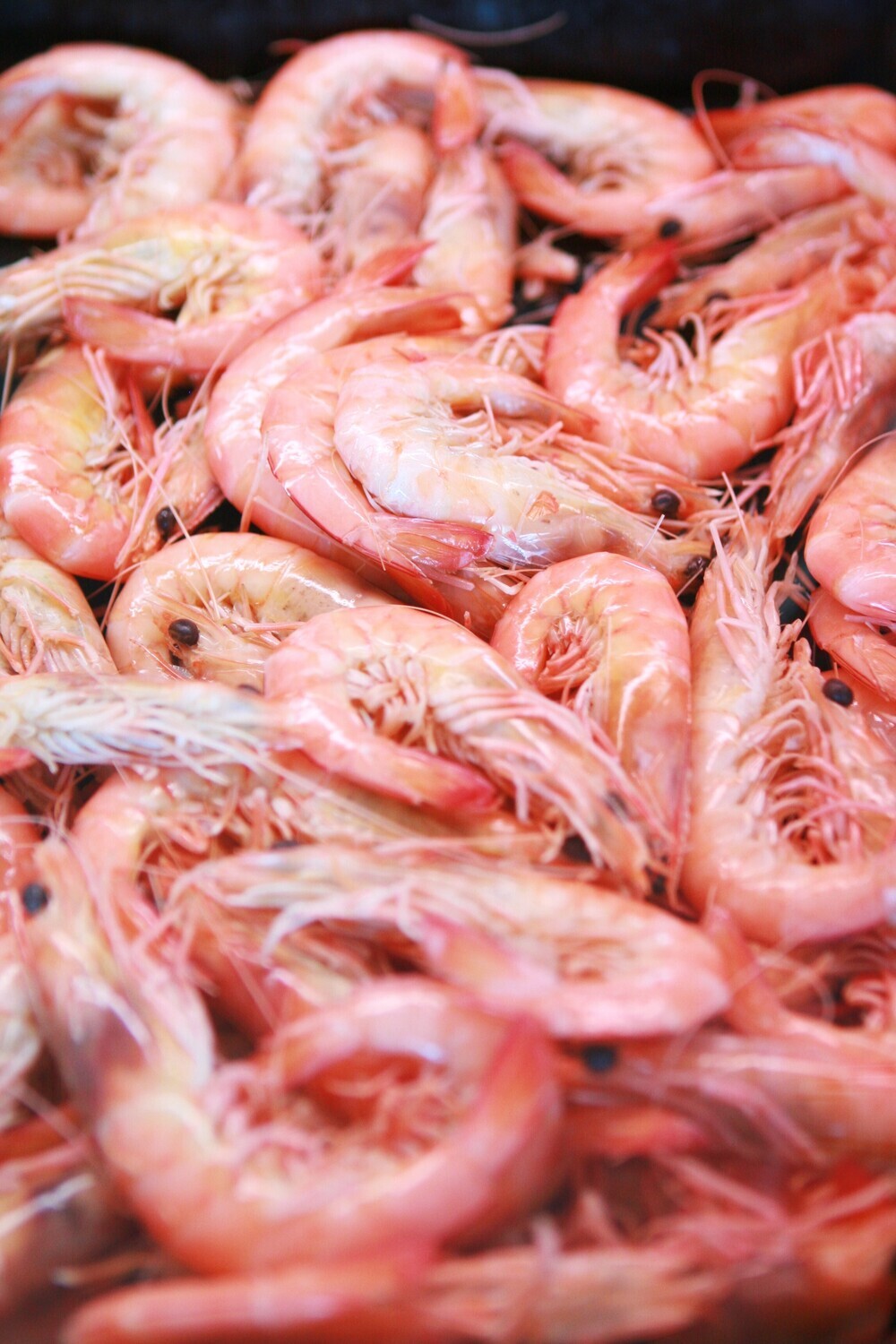 Extra Large Cooked Prawns (U/10) | per/kg Extra Large Cooked Prawns (U/10) | per/kg