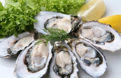 Oysters (opened) | per/dz