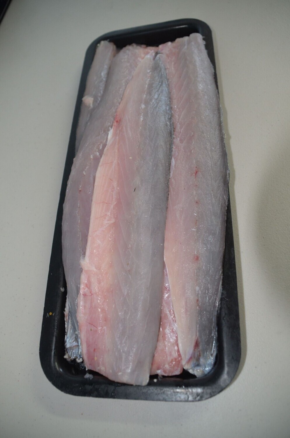 Snook Fillet | per/kg