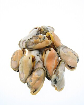 New Zealand Half Shell Mussels | per/kg