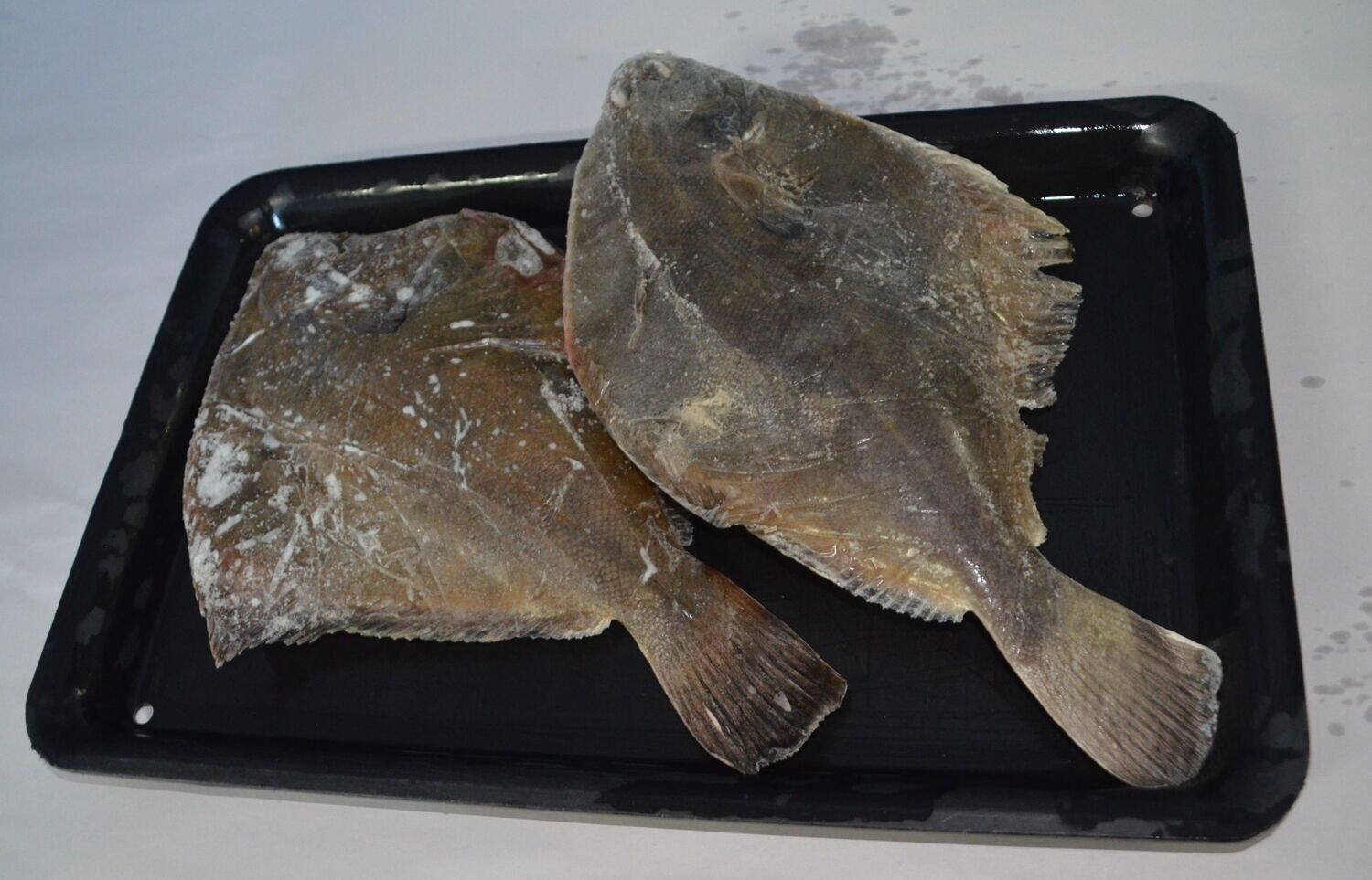 Whole Flounder | per/kg