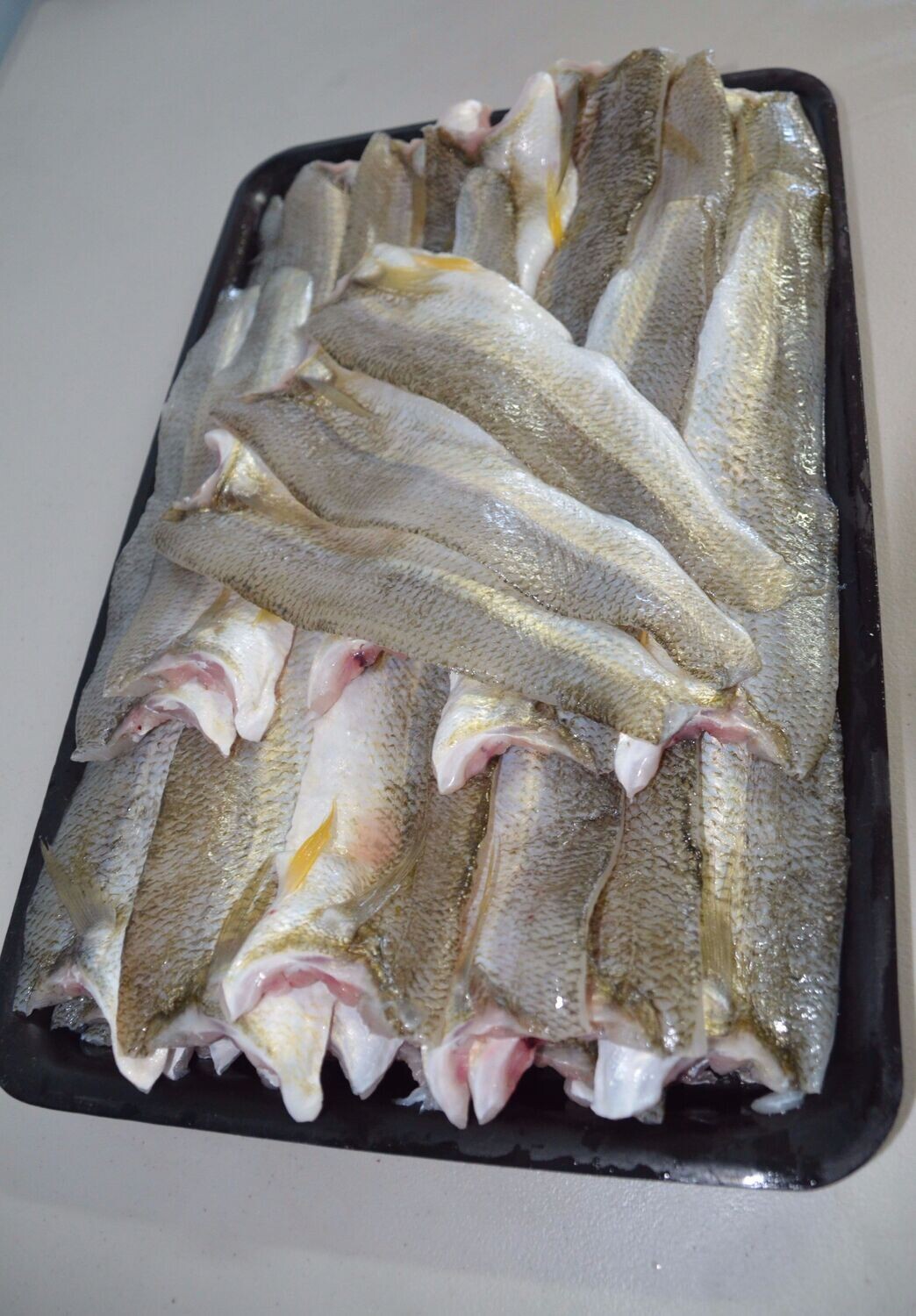 Silver Whiting | per/kg