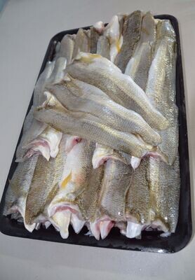 Silver Whiting | per/kg