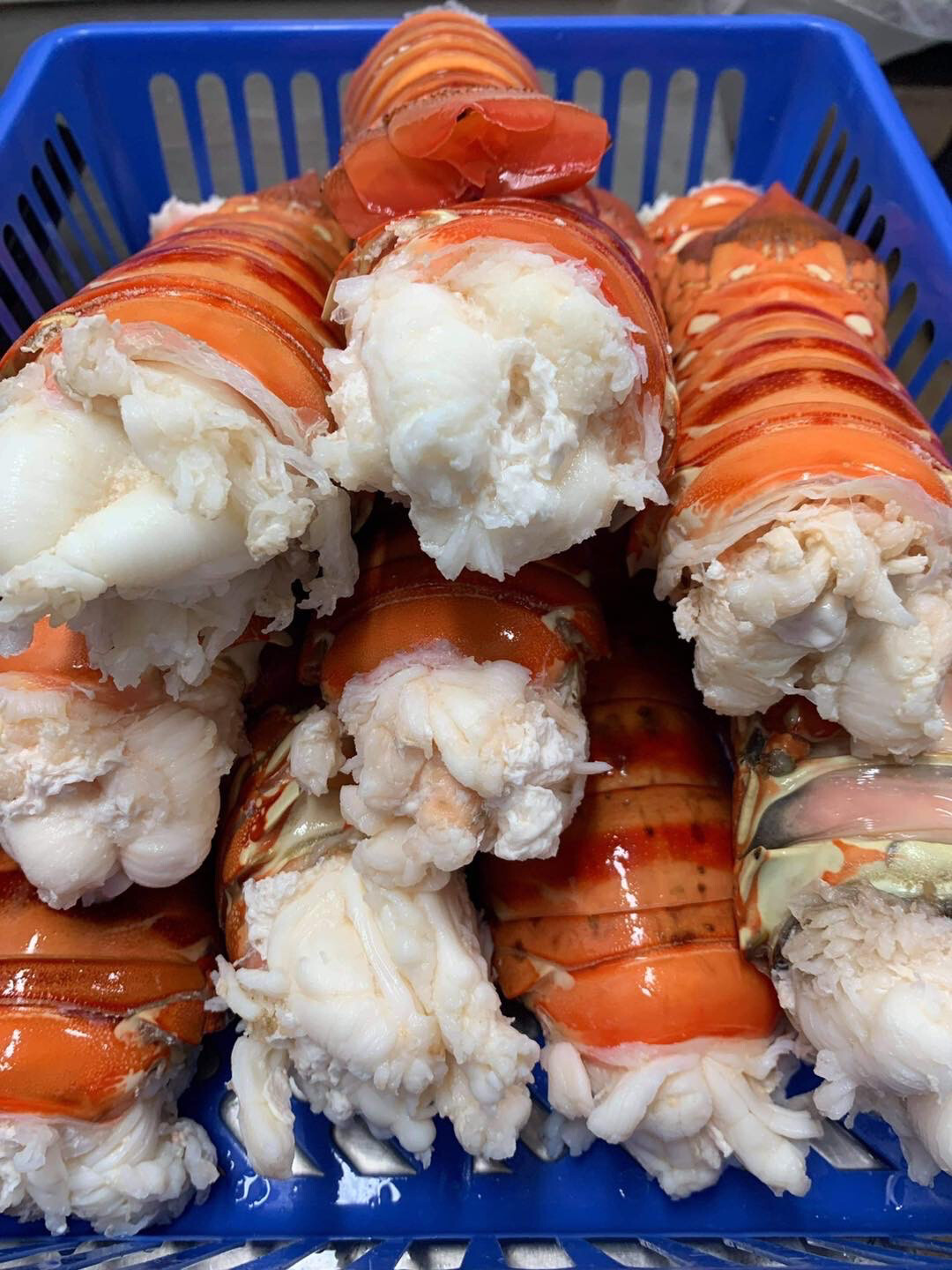 Cooked Australian Crayfish Tails | per/kg