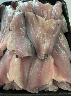 Tommy Ruff (Sea Herring Fillets) | per/kg