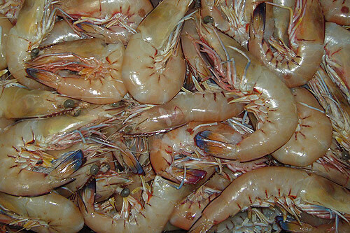 Extra Large U/10 RAW Whole Prawns | per/kg