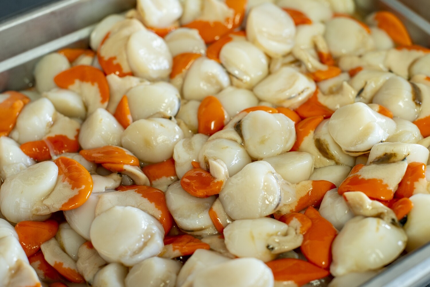 Australian Scallop Meat | per/kg