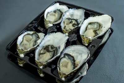 Oysters (opened) | per/dz