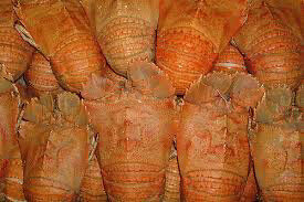 Cooked Morton Bay Bugs | per/kg