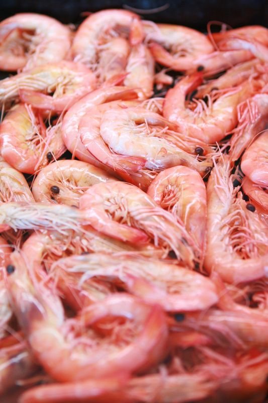 16/20 Medium Whole Cooked Prawns