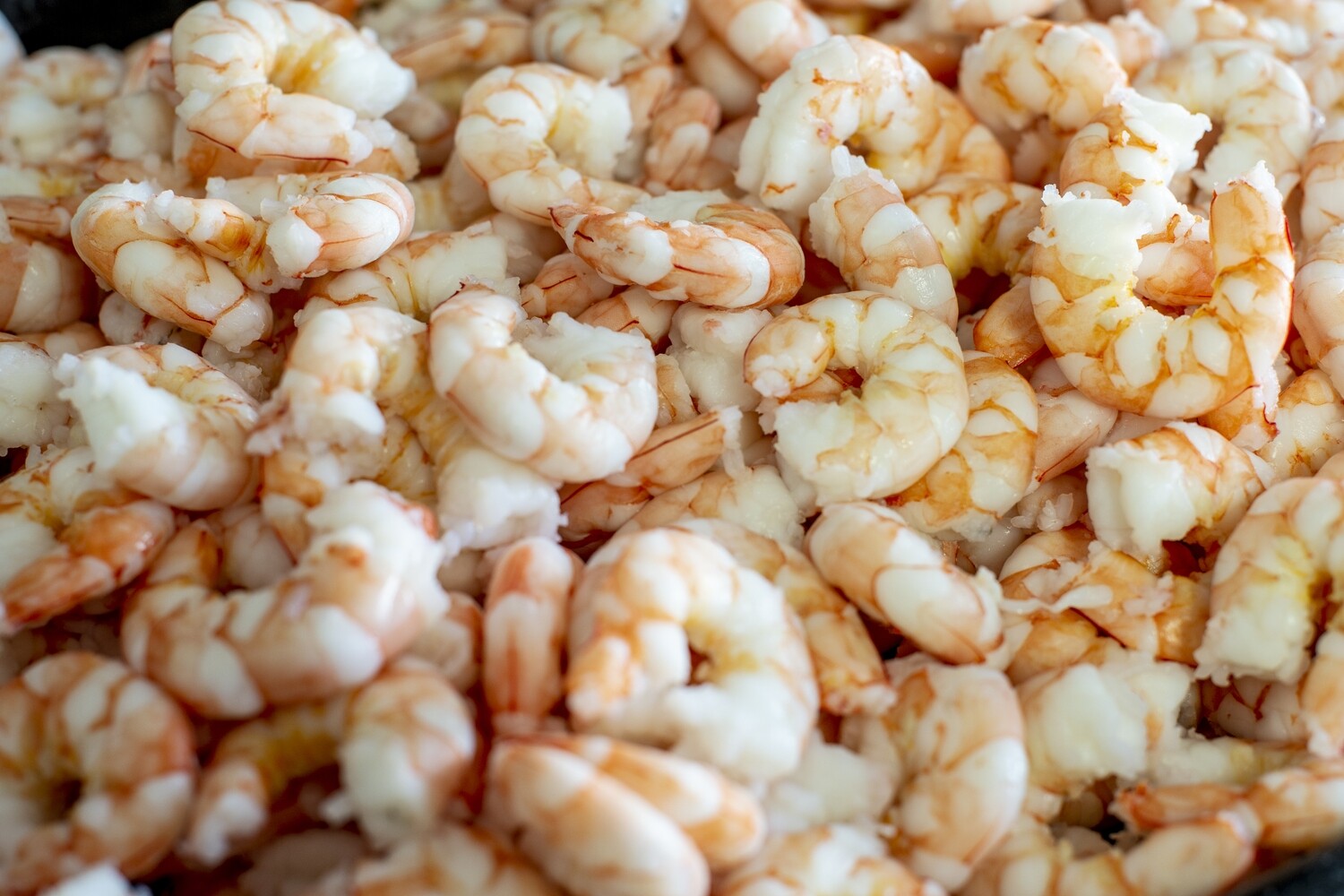 Spencer Gulf Seconds Cooked &amp; Peeled Prawns | per kg