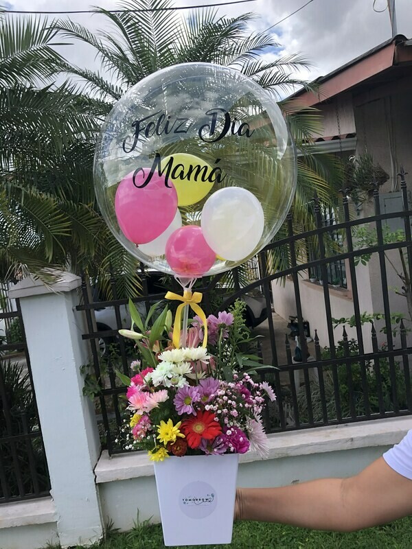 Colorful Balloon Box