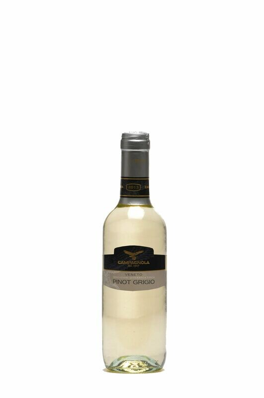 PINOT GRIGIO DOC DELLE VENEZIE - CAMPAGNOLA