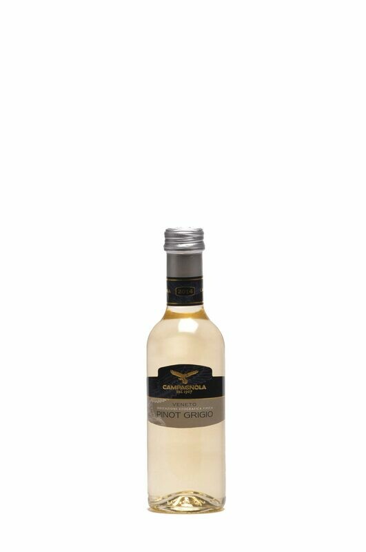 PINOT GRIGIO DOC DELLE VENEZIE - CAMPAGNOLA