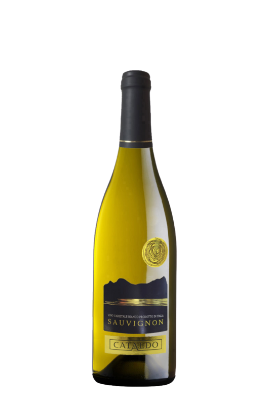 SAUVIGNON BIANCO ITALIA - CATALDO