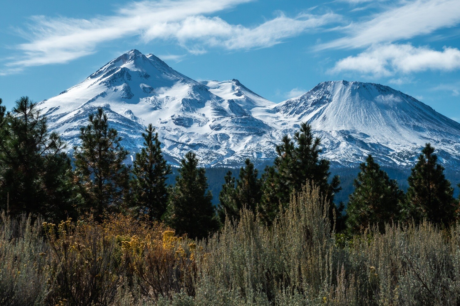 Volcano  Portraits