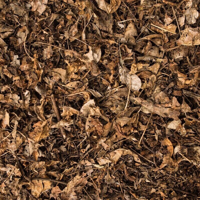 Forest Mulch